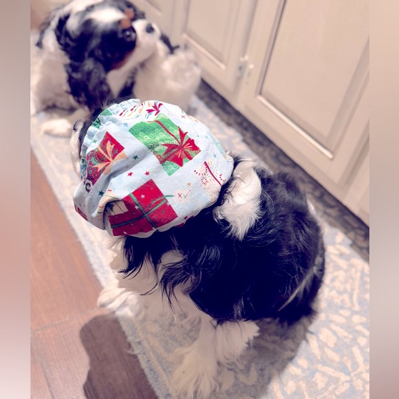 SNOOD Long Eared Dog Hat for Mealtime & Feeding - Picture 7 of 17